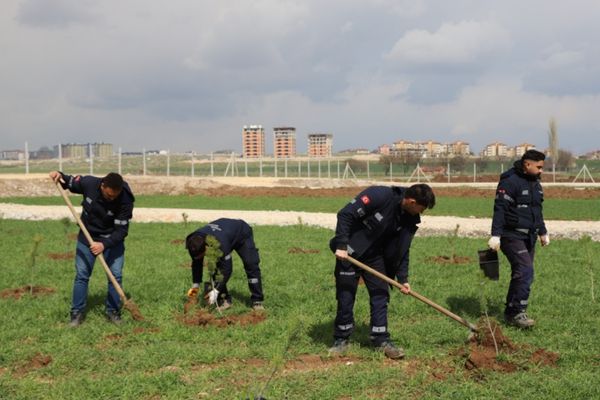 Eskişehir’de evlenen çiftler adına fidan dikiliyor Eskişehir’de evlenen çiftler adına fidan dikiliyor