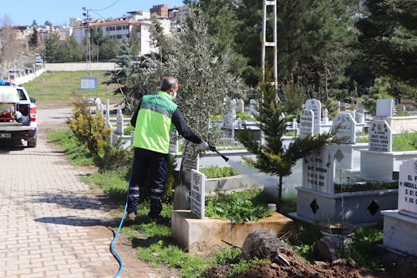 Siirt’te mezarlıklarda bahar temizliği çalışmaları başlatıldı Siirt’te mezarlıklarda bahar temizliği çalışmaları başlatıldı