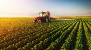 Tarımsal ürün endeksleri açıklandı