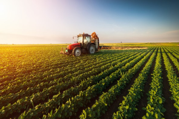 Tarımsal ürün endeksleri açıklandı