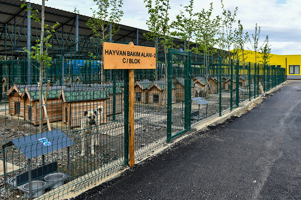 Ankara’da sokak hayvanlarına 8 milyon üzerinde veterinerlik hizmeti sağladı Ankara’da sokak hayvanlarına 8 milyon üzerinde veterinerlik hizmeti sağladı