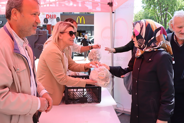 İzmit’te vatandaşa ücretsiz istiridye mantarı