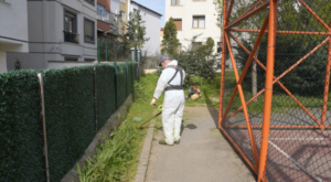 Kartal’da park ve yeşil alanlarda yaz hazırlığı