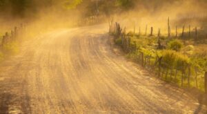 Meteoroloji’den toz taşınımı uyarısı