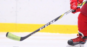 A Milli Buz Hokeyi Takımı namağlup şampiyon oldu