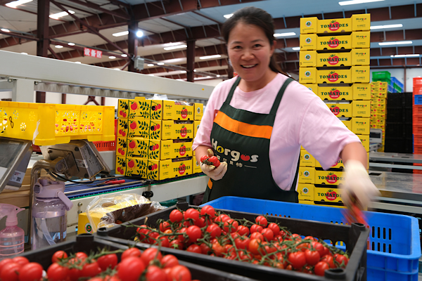 Çin’de özel gıda üretim bölgelerinin sayısı 450’yi aştı