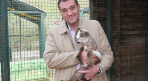 Köse: Sokak hayvanlarının yaşam hakkını unutmayalım