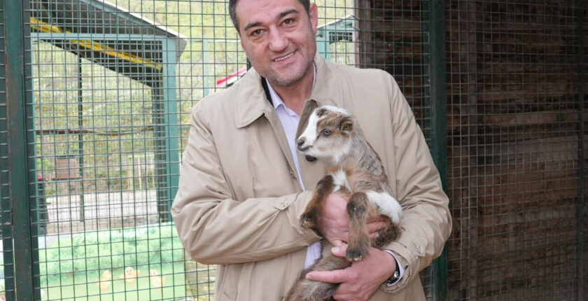 Köse: Sokak hayvanlarının yaşam hakkını unutmayalım