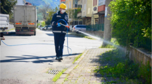 Giresun’da kahverengi kokarcaya karşı ilaçlama başladı