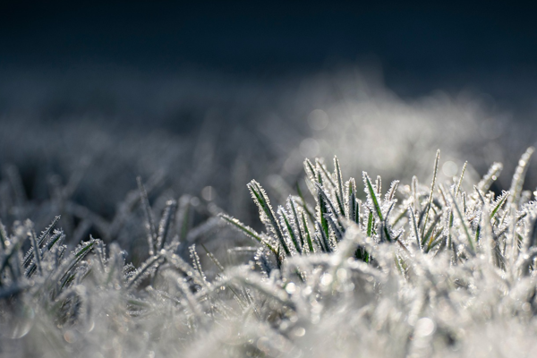 Meteoroloji’den zirai don uyarısı