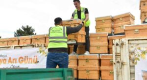 Ankara Büyükşehir Belediyesi’nden 5 bin arı kovanı desteği