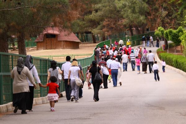 Gaziantep’te 19 Mayıs’ta doğal yaşam parkı ve müzeler ücretsiz olacak Gaziantep’te 19 Mayıs’ta doğal yaşam parkı ve müzeler ücretsiz olacak