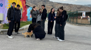 Mamak’ta öğrenciler can dostlarla buluştu
