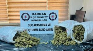 Şanlıurfa’da 8 kilodan fazla esrar ele geçirildi