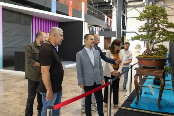 Kocaeli’de 6. Ulusal Bonsai Sergisi açıldı Kocaeli’de 6. Ulusal Bonsai Sergisi açıldı
