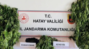 Samandağ’da uyuşturucu operasyonu