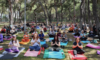 Başkan Kotan, Hıdırellez yogasında vatandaşlarla buluştu Başkan Kotan, Hıdırellez yogasında vatandaşlarla buluştu