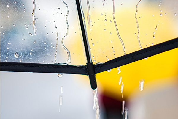 Meteoroloji’den kuvvetli yağış ve rüzgar uyarısı