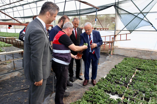 Ordu’da 300 bin yazlık sebze fidesi desteği Ordu’da 300 bin yazlık sebze fidesi desteği